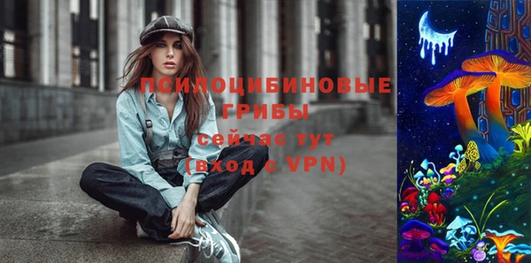 прущие грибы Арсеньев