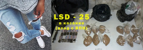 прущие грибы Арсеньев